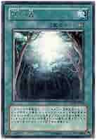 遊戯王 - アーシャの森品 71tBlwzmO+L._AC_UL210_SR210,