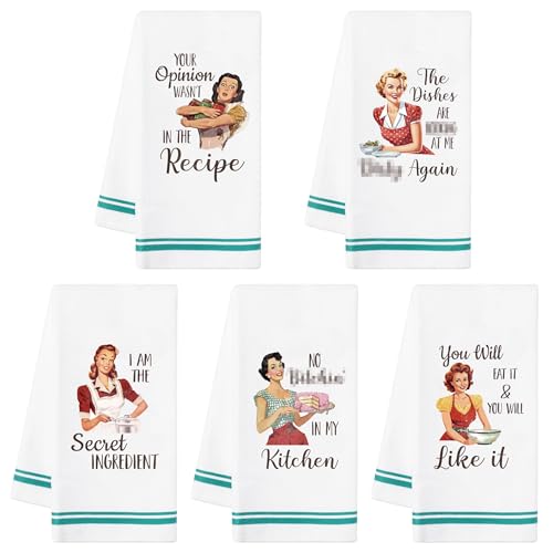 R HORSE 5Pcs Funny Kitchen Dish Towels, Funny Joked Themed Kitchen Dishcloth Absorbent Retro Sassy Lady Cleaning Dishcloth Bar Hilarious Hand Towel Gifts for Hostess Mom Women Housewarming