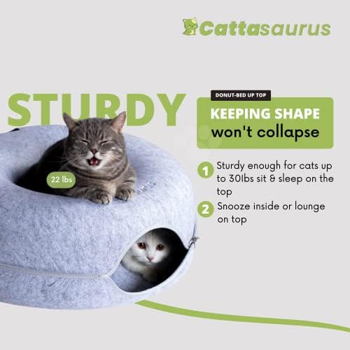 Cattasaurus Peekaboo Cat Cave Donut for Multiple & — top-down angle highlighting key features