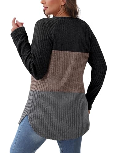 Image of Saloogoe Long Sleeve Shirts for Women 2025 Fall Clothes Tunic Tops Loose Fit Dressy Crewneck Pullover Sweaters Curved Hem