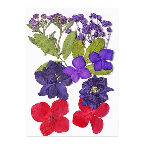 12 hCt[ubN}[NpWG[CLOi`vXtA[gNtgvX