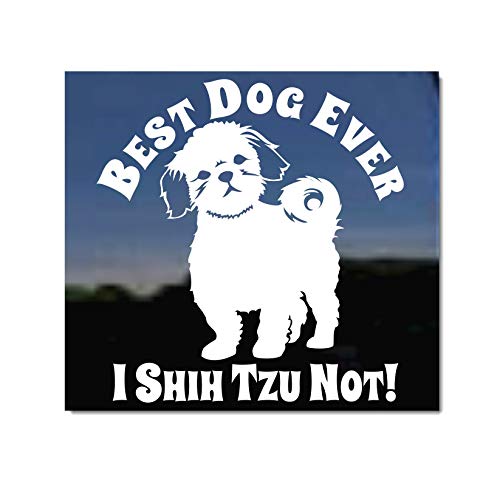 Best Dog Ever Window Decal