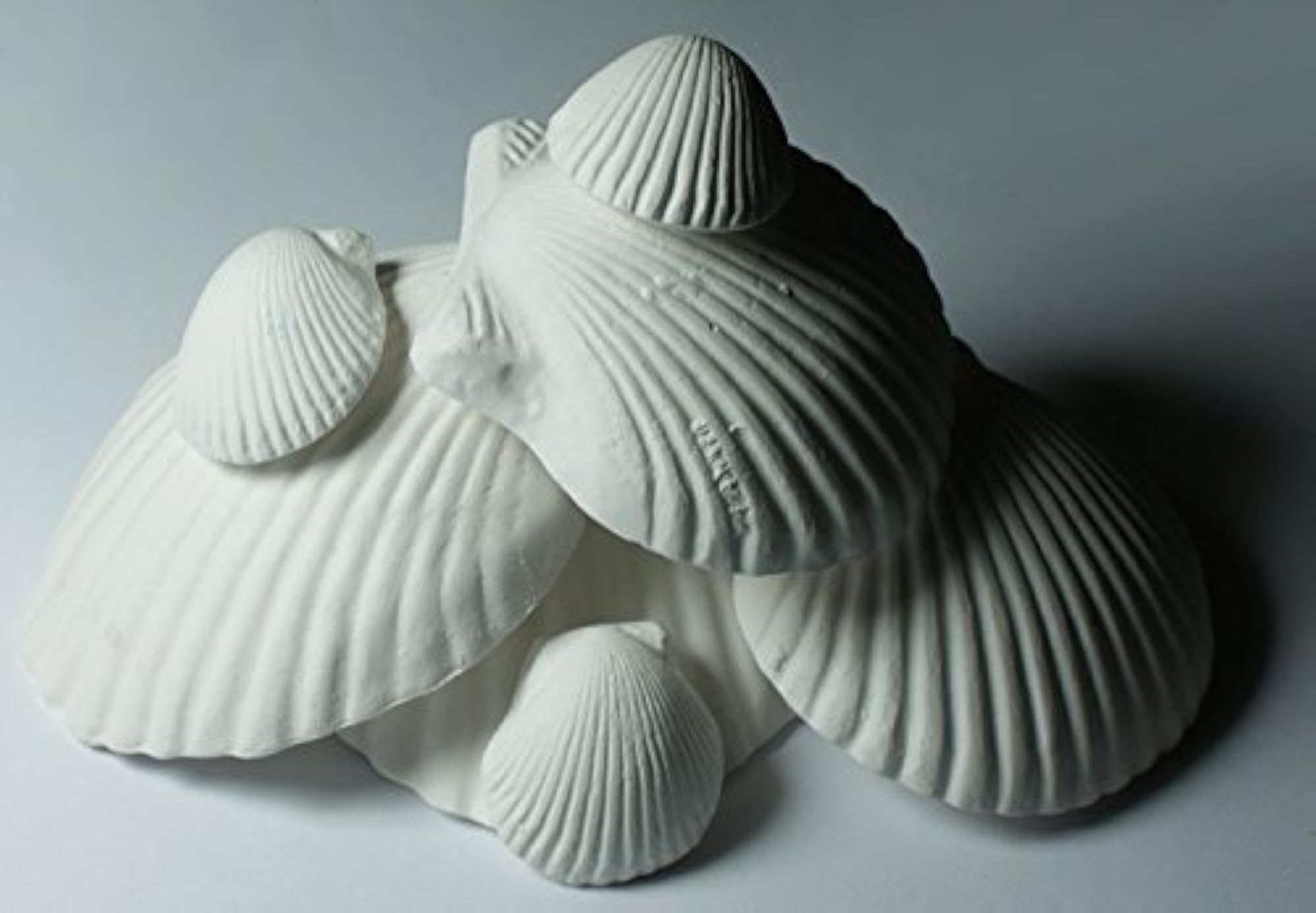 Wonder Shell Natural Minerals, 30 Shells Pack