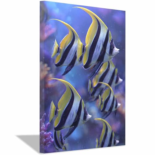 Poster ocean murenres pour habiller un grand mur vide toile encadree 70x100