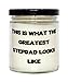 Special Stepdad Scent Candle, This Is What The Greatest Stepdad Looks, Present For Dad, Inappropriate Gifts From Son Daughter, Scented candles, Candle gift set, Aromatherapy candles, Soy candles, Best