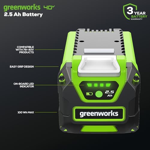 Image of Greenworks 40V 2.5Ah Lithium-Ion Battery (Genuine Greenworks Battery / 75+ Compatible Tools)