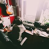 i saw an elderly woman feeding pidgeons and wonder - Demo