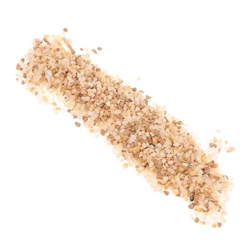 BELLIFFY Gravier Pour Plantes Pierres Décoratives Pour Jardinières Galets Pour Plantes Pot Sable Décoratif Pour Plantes Fournitures Aménagement Paysager