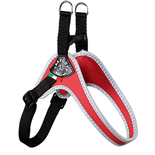Tre-Ponti-Fibbia-Small-Dog-Harness-with-Adjustable-Belly-Strap-2-cm-Red