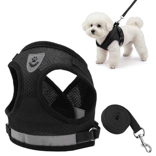 Hypeety Soft Mesh Dog & Cat Harness & Leash Set (Black, L)