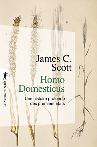 Homo domesticus: Une histoire profonde des premiers États (Poche / Sciences humaines et sociales)