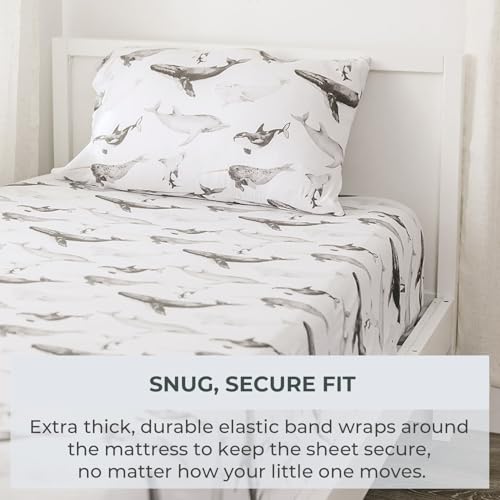 Image of Pobibaby Premium Twin Full Sheets Sets, Kids Double Bed Sheets in Cotton Blend | Ultra-Soft Woodland Camping Print with Fitted Sheet, Flat Sheet & Pillowcases (Twin Seaside Whale)