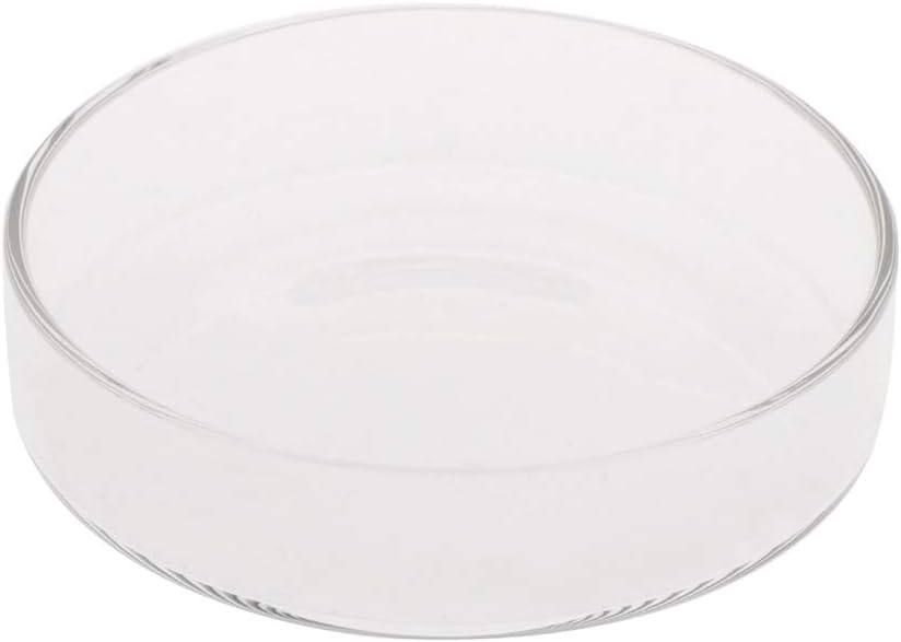 Aquarium Fish Tank Shrimp Feeding Food Dish Bowl Feeder Tray Container Glass Shrimp Feeding Dish for Shrimp Food (6.5cm/2.56in)