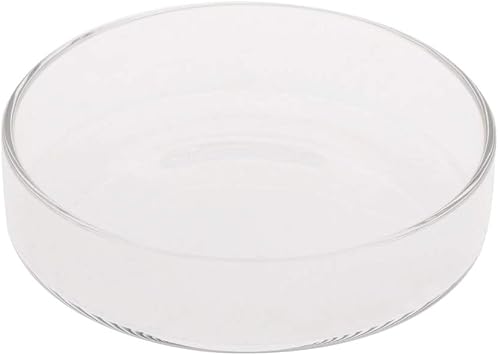 Shrimp Feeder Dish Glass Feeding Tray Aquarium Fish For Tank Reptiles Round Bowl 3.9in 3.5in 3.2in 3.0in 2.6in 2.4i Fish Tank Supplies Shrimp Feeder Tube Shrimp Feeder Dish Shrimp Feeder Dish And