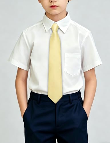 Image of Hi-Tie Pretied Boys Ties Solid Color Kids Adjustable Necktie Lapel Pin Clip Set Age 8-12 Wedding School Graduation