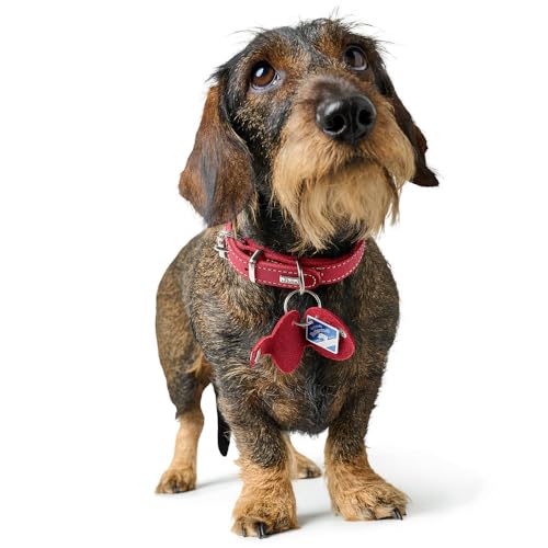 HUNTER Anhänger Hundemarken-Etui Aalborg Farbe schwarz, Größe S