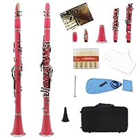 Amazon.co.jp: DZDZDZ 17キークラリネットBB Bフラットプロの木鉄風の