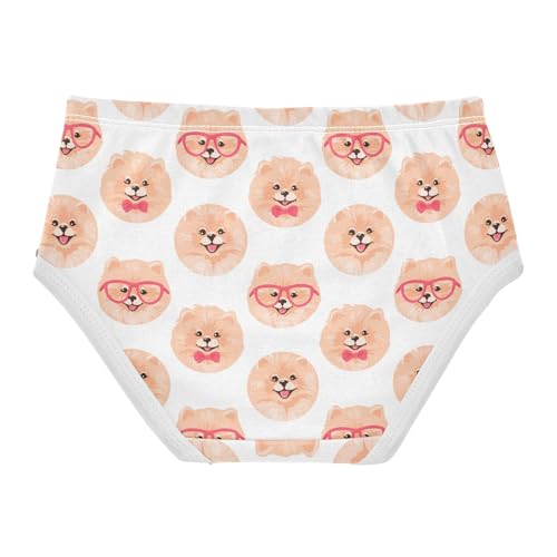 Little Girl Underwear Toddler Panties Kids Undies Pomeranian Spitz Dog Soft Cotton Briefs 2T-8Y2