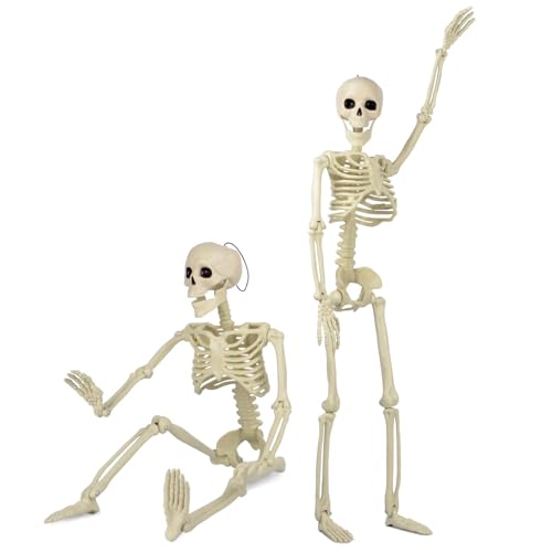 Taspire 2 unidades de esqueleto de 60 cm para decoración de Halloween, esqueletos articulados de cuerpo entero, esqueleto de Halloween, decoración de cementerio, accesorios para casa embrujada