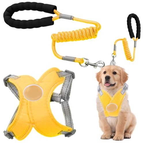 Fonney 犬用ハーネス | チョークフリーのペット用ベスト - 暗闇での室内やトレッキング ジョギングに最適な小型犬用ハーネス