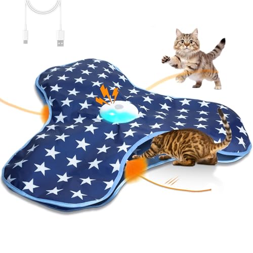 Juguetes activos para gatos interactivos con juego de teasers ocultos en sala 2