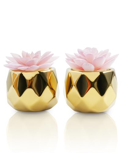 VIVERIE Mini Succulents Plants Artificial in Pots-Pink with Golden Ceramic, Christmas Small Fake Succulents Plants for Home Decor Indoor for Women, Set of 2, Gifts for Mom