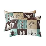 Wake In Cloud - Western Pillow Cases, Southwestern Aztec Country Horse Cowboy Rustic Ranch Pattern Printed, Set of 2 Soft Pillowcases Pillow Shams Covers, Turquoise Taupe, Standard Size 20x26 Inches