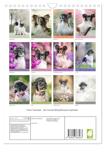 Flora Canidae - der Hunde-Blühpflanzen-Kalender (Wandkalender 2026 DIN A4 hoch), CALVENDO Monatskalender: Hunde und blühende Pflanzen streicheln die Seel, sie machen glücklich! (CALVENDO Tiere)