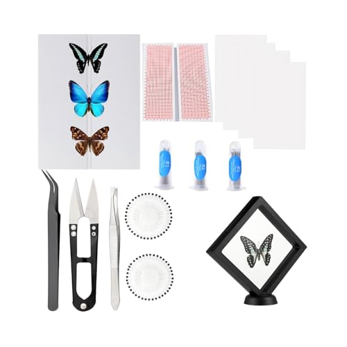 Accesorios de montaje de mosca y kit de inicio de entomología en EVA 2
