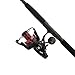 PENN Fierce IV Spinning Reel and Fishing Rod Combo