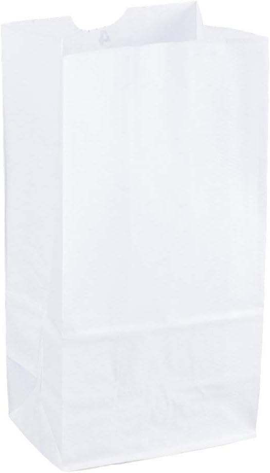Perfect Stix Kraft White Bag 6100 6lb Kraft White Paper Bags Pack