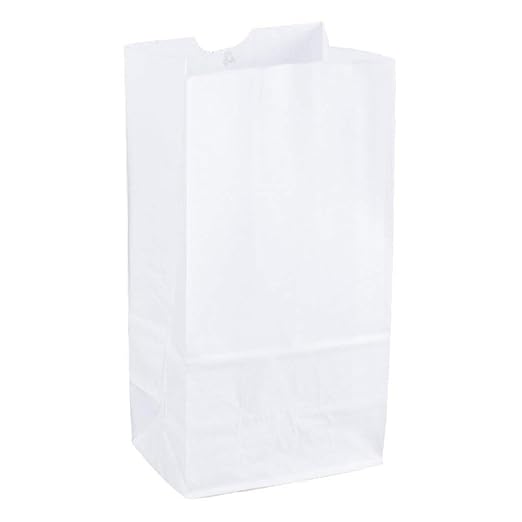 white paper kraft bolsas