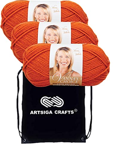 Image of Lion Brand Yarn Vanna'S Choice 860-134 Terra Cotta