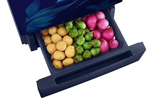 Image of Samsung 244L 2 Star Frost-Free Double Door Refrigerator Appliance (RT28B3C22UZ /HL, Midnight Blossom Blue, Curd Maestro, 2022 Model)