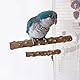 Hayaww 2 pcs Holz Vogelstange mit Saugnapf Sitzstangenständer Vogelstangenständer Sitzstangen Vögel Ständer mit Saugnapf für Fenster Papageiensitzleiter Holz Stepped Für Wohnzimmer Auto (A, M)