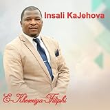 Insali Music
