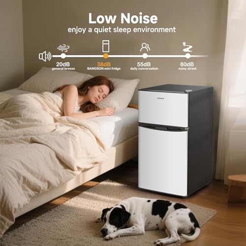 BANGSON Mini Fridge with Freezer, 3.2 Cu.Ft Small Refrigerator, 5 Settings Temperature Adjustable, Low Noise Refrigerator, 2 Door Small Fridge for Apartment, Home, Office and Dorm, Silver