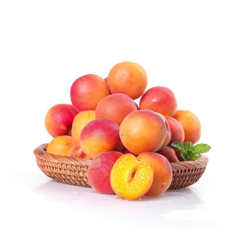 10 piezas semillas de albaricoquero, camas elevadas para jardín plantas de interior, plantas en macetas Plantas de balcón, árboles, resistentes al jardín. fruta columnar, jardín decorativo