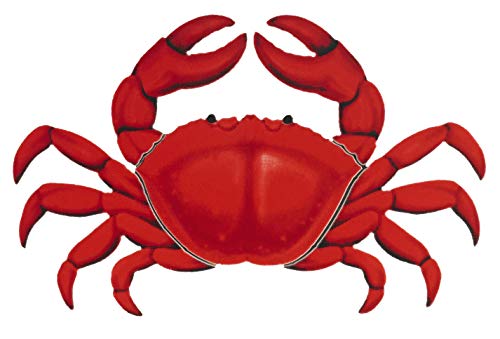 Red Crab Porcelain Swimming Pool Mosaic (12