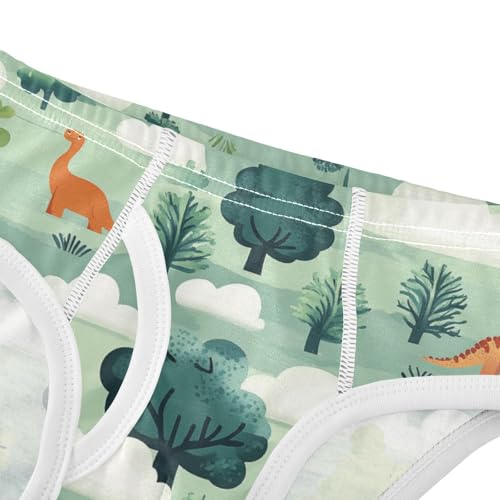 Wusikd Dinosaurs Boys' Underwear Cotton Clouds Tree Boys Briefs Soft Toddler Underwear 2T4