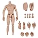 1/6 Escala de 12 Pulgadas Cuerpo Desnudo Muscular de Figura Acción para Esculpir Cabeza Caliente