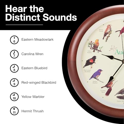 Mark Feldstein, Audubon Singing Bird Wall Clock, 13 Inch, Premium Cherry by Mark Feldstein & Associates - Image 5
