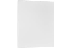 JAM PAPER 8.5 x 11 Clear Cardstock- Translucent Vellum in Print Shop Variety