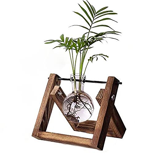 Kingbuy Plant Propagation Station Air Plant Terrarium Bulb Vase with