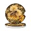 Honey Bee Flowers