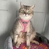 Voyager Step-In Air Dog Harness by Best Pet Supplies - All Weather Mesh Step in Vest Harness for Small and Medium Dogs, Pink, size XS - Chest: 13 - 14.5" - Image 9