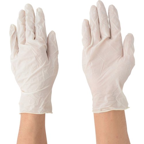 �쐼�H�� �V�R�S���ɔ���� ���t 100���� #2031 �i�`������ L