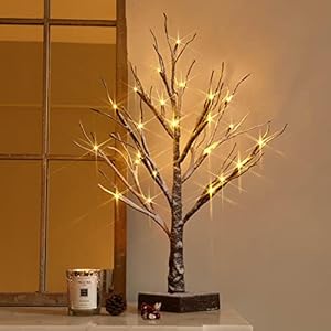 Hairui Lighted Tabletop Artificial Small Tree Snow Dusted 24 LED 18IN Battery Operated with Timer Indoor Use for Summer…