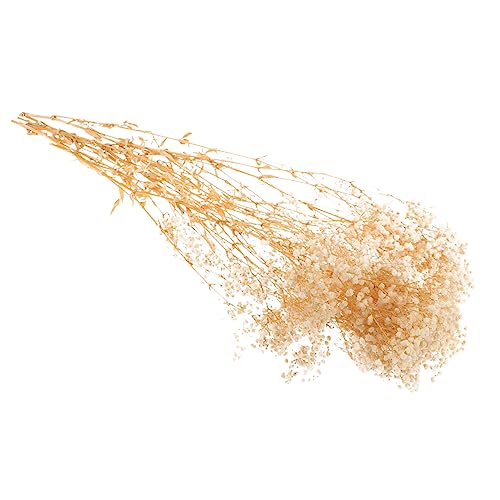 Arreglo de flores secas Gypsophila para decoración miniatura 7