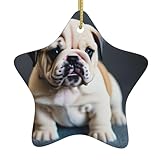 Diseño vivo: con el bonito patrón en el bonito diseño de Bulldog Puppy 1, hace que toda la decoración navideña ya no sea monótona, haciendo que los colores del festival sean más hermosos y brillantes, como un arco iris que ilumina la temporada de Navidad.
